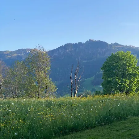 Garconniere Am Römerweg Apartment *