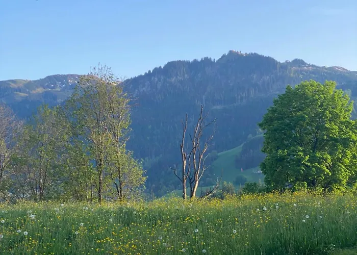 Garconniere Am Roemerweg 아파트 *